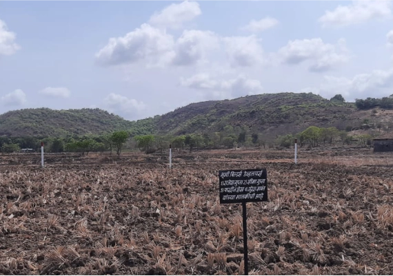 MIDC Development Sarade Punade gallery photo