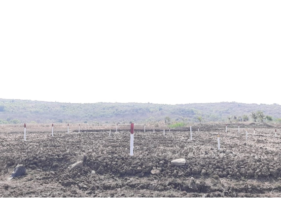 MIDC Development Sarade Punade gallery photo