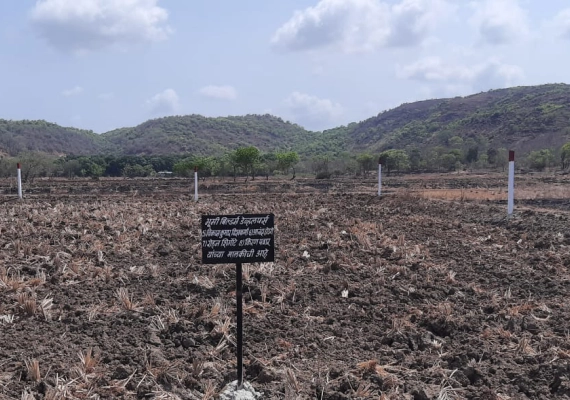 MIDC Development Sarade Punade gallery photo