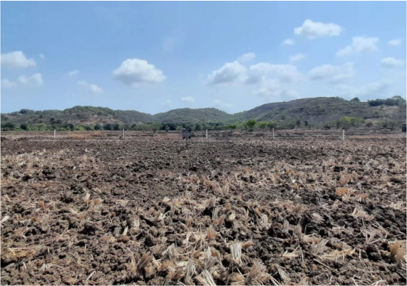 MIDC Development Sarade Punade gallery photo