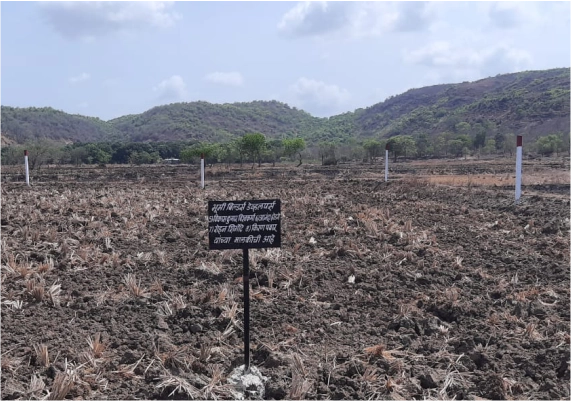 MIDC Development Sarade Punade gallery photo