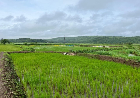 MIDC Development Sarade Punade gallery photo