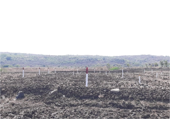 MIDC Development Sarade Punade gallery photo